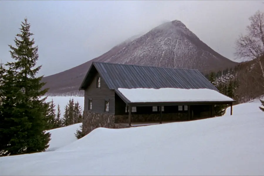 Adirondack camp-style house with a slate-blue standing seam metal roof below a bare peak near Lake Placid, New York